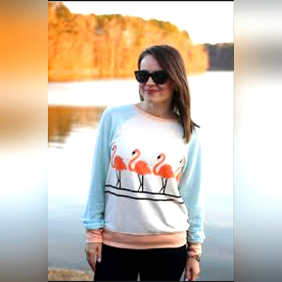 Wildfox Sweaters - 🦩WildFox Pastel Flamingos Sweater🦩💕💙